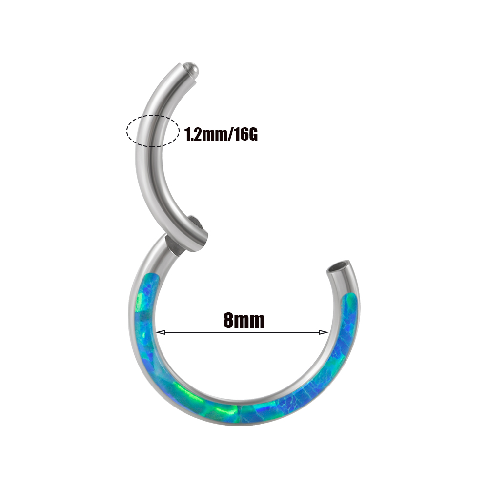1 unidad de Clicker con bisagr - Body Piercing Quality Jewelry reseña y precio