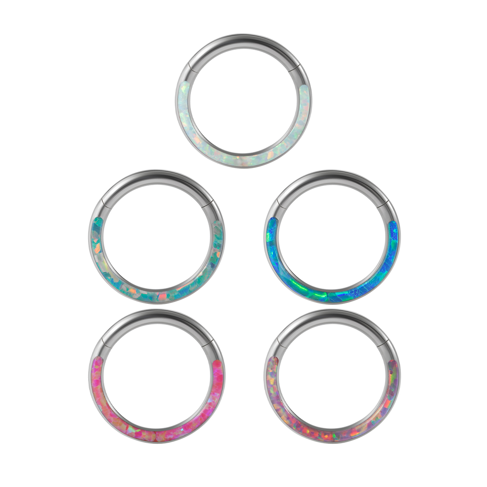1 unidad de Clicker con bisagr - Body Piercing Quality Jewelry reseña y precio