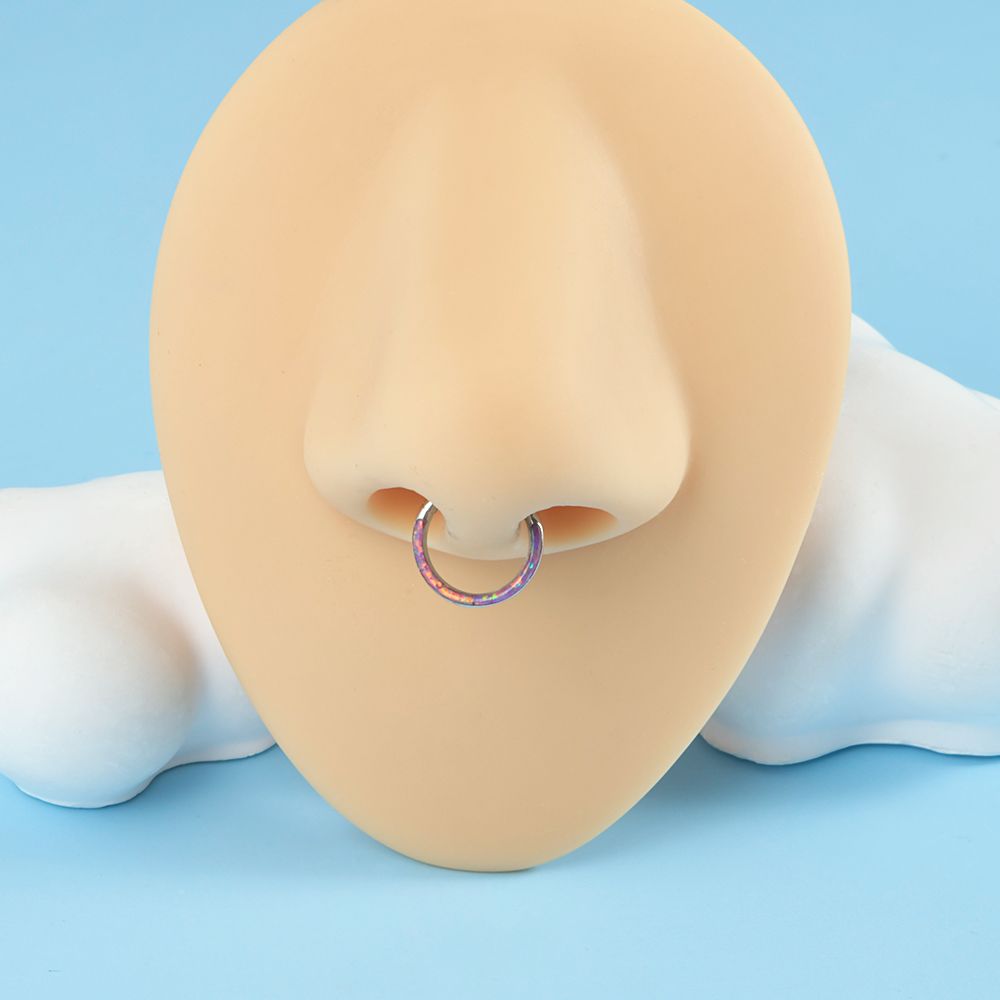 1 unidad de Clicker con bisagr - Body Piercing Quality Jewelry reseña y precio