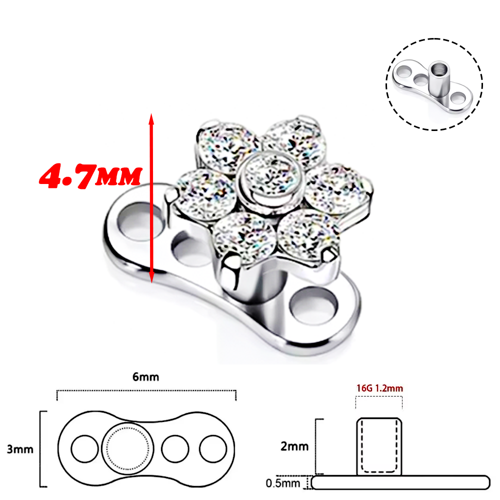 F136 aleación de titanio de al - Body Piercing Quality Jewelry reseña y precio